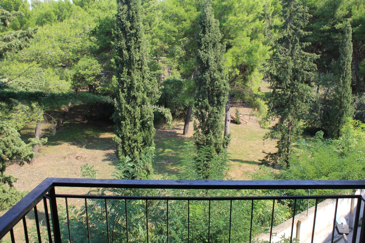 B&B Il Giardino In Citta - Parcheggio Privato Gratuito Foggia Kültér fotó